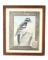 Arm & Hammer Soda Downy Woodpecker c. 1915