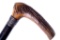 Stag Handle Gentleman's Cane With Silver Collar