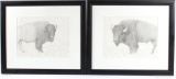 Signed Pair of Framed Buffalo Sketches