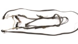 Ricardo Curb Bit with Studded Headstall and Reins