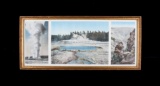 Original Haynes Yellowstone Park Photographs