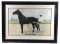 1902 Dan Patch The Courier Co Lithograph