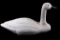 Original Herters Life Size Swan Decoy