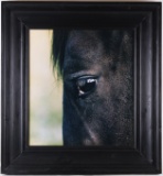 Modern Art Horse Eye Reflection Photograph