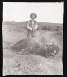 Late 1800's Trophy Buffalo Hunt Photo By Huffman