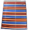 Beaver State Pendleton Striped Blanket