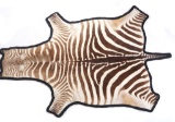 Taxidermy Trophy Zebra Hide Pelt Rug