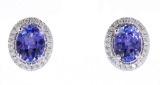 Gorgeous Tanzanite & Diamond 14K Stud Earrings