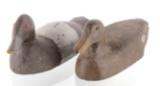 Mid 1900s Collection of Duck Decoys