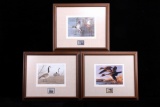 Limited U.S. Water Birds Framed Prints & Stamps