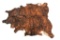 Exotic Tri-Colored Speckled Cowhide Premium Rug