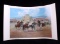 Early Montana Artist Gary Carter Limited Print