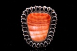 Navajo LARGE Sterling Silver Carnelian & Jet Ring