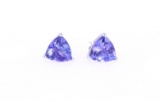 Rare Trillion Tanzanite 14k White Gold Earrings