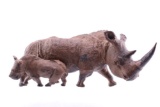 South African Leadwood White Rhino & Rhino Calf