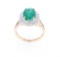 Double Halo Emerald VS Diamond & 14k Gold Ring