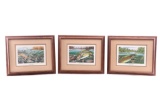 Trout Of The Seasons Rod Walinchus Lithographs (3)