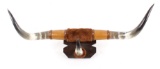 Texas Longhorn Leather Wrapped Wall Mount