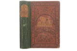 1872 1st Edition Buffalo Land by W.E. Webb