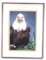 Harold. E. Wilson Ltd Ed. Photograph Bald Eagle