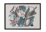 J. J. Audubon Framed Print 
