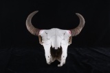 Montana Bison / American Buffalo Taxidermy Skull
