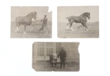 1930-40s Equestrian & Farm Photos From Montana (3)