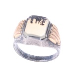 Montana Moss Agate Sterling Silver & 14k GF Ring