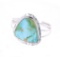Navajo H. Tsosie Silver Sonoran Turquoise Ring