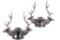 Stetson Double European Stag Candlestick Holder