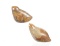 Sharon Spencer Soapstone Seal Carving Pair