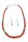 Red Jasper & Turquoise Graduated Necklace Earrings
