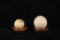 Solid Ivory Decorative or Billiard Balls 19th C.