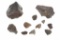 Northwest Africa (NWA) Chondrite Meteorite 213.4g