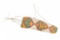 Blackfeet Elliptical Polychrome Parfleche Case