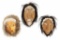 Inuit First Nation Inuvik Northwest Terr. Masks