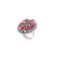 Navajo Chee Sterling Silver Red Branch Coral Ring