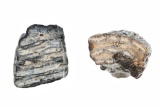 Texas 2lb 6oz Fossilized Woolly Mammoth Teeth
