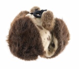 Mid 20th C Eskimo Seal Skin & Fur Linen Lined Cap