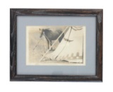 Blackfoot Bay Mare and Otter Tipi Photo ca. 1910