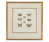 Sandy Scott Limited Ed. Butterfly Etching 1970-90s