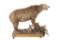 Alaskan Full Mount Kodiak Brown Bear Professional Taxidermy