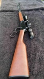 Henry 22 rifle lever action