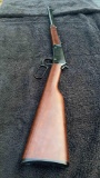Henry 22 rifle