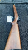 Winchester 22 Long rifle