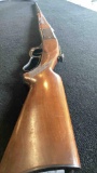 Savage 300 lever action rifle