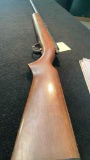 Remington 22 rifle