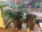 2 brass planters w/double ring handles, 9