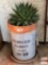 Yard & Garden - terra cotta potted cactus in flower market tin 18