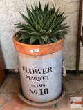 Yard & Garden - terra cotta potted cactus in flower market tin 18